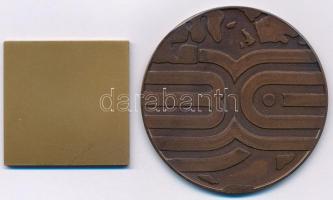 ~1980. 2db klf "Ikarus" témájú Br emlékplakett (60mm/39x39mm) T:2