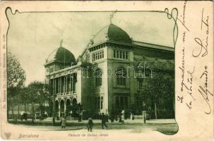 1901 Barcelona, Palacio de Bellas-Artes / Palace of Fine Arts. Dr. Trenkler Co. (wet corner)