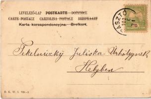 1902 Art Nouveau lady art postcard. Floral, litho. B.K.W.I. 739-3. s: E. Schiendl (EK)