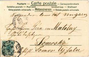 1901 Prosit Neujahr! / New Year greeting art postcard, chimney sweeper with ladder, clover and pig. ...