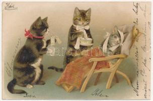 1904 Cats nursing an injured cat. litho (r)