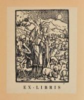 Rozsnyai Kálmán: Öreg diák élő emlékei. Bp, 1943, "Szépmives Műhely" kiadása. Kartonált pa...