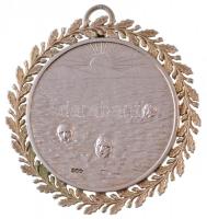 ~1930. Magyar Úszó Egyesület(?) jelzett Ag díjérem füllel, koszorú rátéttel S.G.A. gyártói jelzéssel (br. 24,14g/0.800/36mm) T:2 patina Hungary ~1930. Magyar Úszó Egyesület(?) (Hungarian Swimming Association(?)) hallmarked Ag award medal with ear and with S.G.A. makers mark (gr. 24,14g/0.800/36mm) C:XF patina