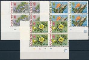 Flower set in corner blocks of 4 Virág sor ívsarki négyestömbökben