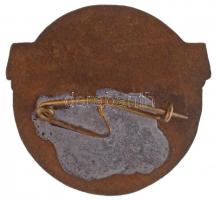 1957.  "Az Egészségügy Kiváló Dolgozója" zománcozott fém jelvény eredeti dísztokban, visel...