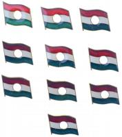 10db-os 1956-os forradalom lyukas közepű zászlaját ábrázoló kitűző tétel T:1,1- hátlapon patina