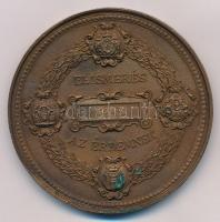 DN "Pécsi Általános Kiállítás 1888 / Elismerés az érdemnek" kétoldalas, öntött Br emlékére...