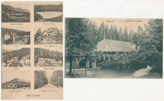 8 db RÉGI erdélyi város képeslap, jobbak: Nagyvárad, Tusnád, Máramarossziget, Nagyszalonta, Málnásfü...