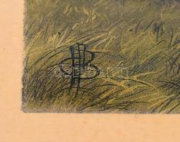 Cecil Boult (1819-1895) festménye után: Riding to sell (lovaglás). Színes litográfia, papír, kasíroz...