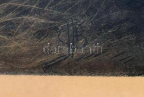 Cecil Boult (1819-1895) festménye után: I should say your horse woulkd die. Színes litográfia, papír...