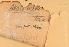 Takács László (1940-): Akali udvar (Balatonakali). Olaj, farost, jelzett, hátoldalán feliratozott. F...