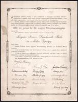 1918 Máramarossziget, osztálytalálkozó dokumentum, 1928. évi junius hó 28. napján Máramarosszigeten összejövünk, aláírásokkal, 36x27 cm