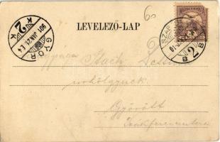 1901 Szabadka, Subotica; Magyar Királyi Államvasutasok (MÁV) Erzsébet kertje, Erzsébet királyné (Sis...