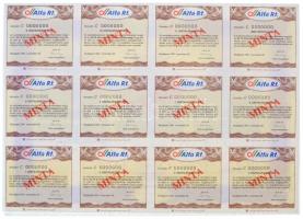 Budapest 1991-1999. 4db klf "MINTA" részvény, közte "Agroinvest", "Abaúj Co...