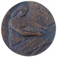 Sz. Egyed Emma (1935-2016) ~1980. "Soproni Szőnyeggyár" Br emlékplakett dísztokban (85mm) T:2