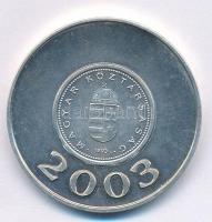 2008. 2003 / 2008 ezüstözött fém emlékérem, mindkét oldalon az 1Ft-os érme hátlapjával (32mm) T:1-