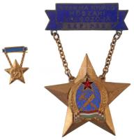 ~1950. Szakma Kiváló Műszaki Dolgozója - Gépipar Rákosi-címeres zománcozott és aranyozott fém kitüntetés, hátoldalán 2765 sorszámmal, miniatűrrel T:1-