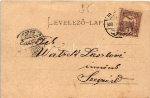 1900 Baja, Fő tér, Városháza, üzletek, kávéház. Kollár A. kiadása (EK)