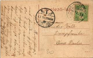 1908 Nagykárolyfalva, Károlyfalva, Karlsdorf, Banatski Karlovac; Elisabetpark / Erzsébet park. W. L....