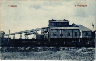1911 Tatabánya, Új szénosztályozó, bánya, iparvasút, MÁV vagonok (EK)