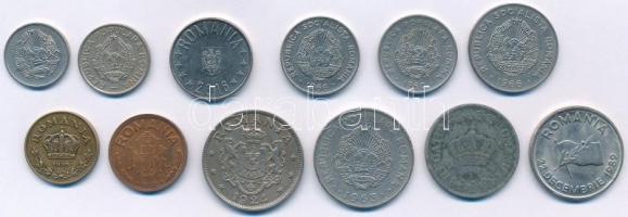 Románia 1924-2016. 5b-10L (12xklf), közte 1938. 1L Cu-Ni T:1--2-
Romania 1924-2016. 5 Bani - 10 Lei...