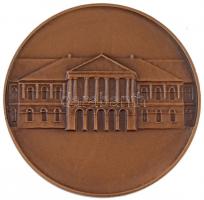 DN "Makó" Br emlékérem (60mm) T:1-