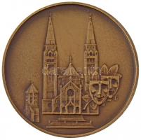 DN "Szeged" Br emlékérem (60mm) T:1-