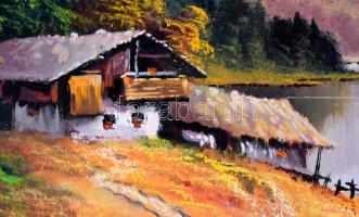 Czinege Zsolt (1964-): Erdélyi tó. Olaj, vászon, jelezve jobbra lent. Hátoldalán Balaton Galéria cím...