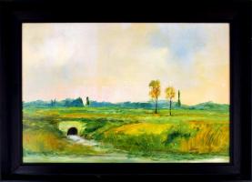 Jobbágy Dezső (?-): Táj patakkal. Olaj, farost, jelzett, fa keretben, 40x60 cm