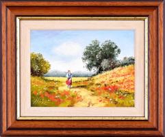 Hirkó Bálint (1975-): Pipacsos mező. Olaj, farost, jelzett. Fa keretben, 15x20 cm