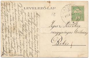 1911 Balatonaliga (Balatonvilágos), Terézia lak, villa, nyaraló. Novák Jenő kiadása (kis szakadás / ...