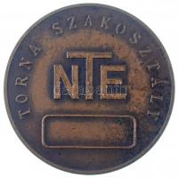 ~1930-1940. "Nemzeti Torna Egylet 1863 / Torna Szakosztály - NTE" kétoldalas Br emlékérem ...