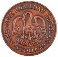 Simon Ferenc (1922-) 1983. "MÉE-M.N.T. Jubileumi ülésszak - Szolnok / Huszonöt év a numizmatikáért 1958-1983" Br emlékérem (42,5mm) T:1-