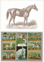 12 db MODERN motívum képeslap: ló / 12 modern motive postcards: horse
