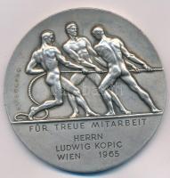 Ausztria 1965. "KAMMER DER GEWERBLICHEN WIRTSCHAFT FÜR WIEN" kétoldalas ezüstözött Br emlé...