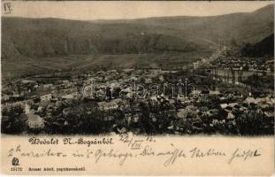 1902 Boksánbánya, Németbogsán, Deutsch-Bogsan, Bocsa Montana; látkép. Rosner Adolf kiadása / general view
