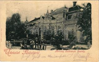 1899 Pankota, Pancota; Herceg Sulkowski kastély. Bloch H. kiadása / castle (kis szakadás / small tear)