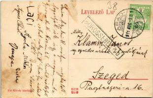 1911 Menyháza, Monyásza, Moneasa; Park, sétány. Fái Károly kiadása / park, promenade + "ARAD - ...