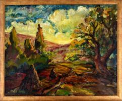 Jelzés nélkül: Dombos táj. Olaj, vászon. Fa keretben. 60x80 cm