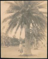 cca 1908 Tunisz, feliratozott vintage fotó, 21,5x17,7 cm
