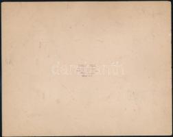 cca 1905 Máramarossziget, Kabát Emil fényképész pecsétjével jelzett vintage fotó, felületén látható ...