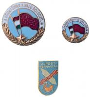 ~1960-1970. "A Könnyűipar Kiváló Dolgozója" zománcozott fém jelvény, miniatűrrel, tokban + "Újpesti Cérnagyár Törzsgárda" zománcozott kitűző T:1-