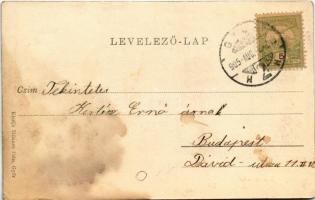 1905 Győr, Erzsébet tér. Milanes Iván kiadása (fl)