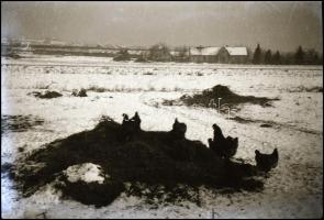 Kis doboznyi 6x9-es méretű negatív, vegyes témában