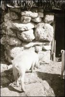 Kis doboznyi 6x9-es méretű negatív, vegyes témában