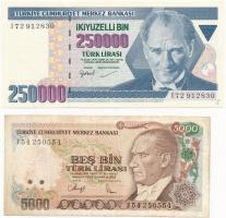 Törökország 1992. 5000L + 1998. 250.000L T:III,I- Turkey 1992. 5000 Lirasi + 1998. 250.000 Lirasi C:F,AU Krause P#198, P#211