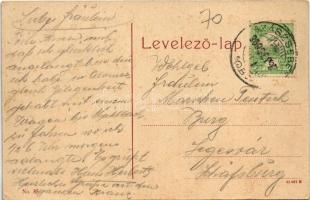 1909 Segesvár, Schässburg, Sighisoara; Baiergasse / Bajor utca, üzletek. W. L. (?) No. 85. / street ...