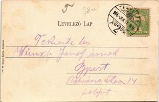 1905 Temesvár, Timisoara; Béga szabályozási palota, piaci árusok. Divald Károly kiadása 784. sz. / T...