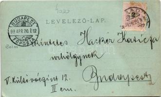 1899 Arad, Vértanú szobor, Színház, lóvasút, Városháza. Lengyel Lipót kiadása / statue, monument, to...