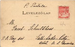 1902 Arad, Szabadság tér, Rosenberg József üzlete, villamos, piaci árusok. Kerpel Izsó kiadása / squ...